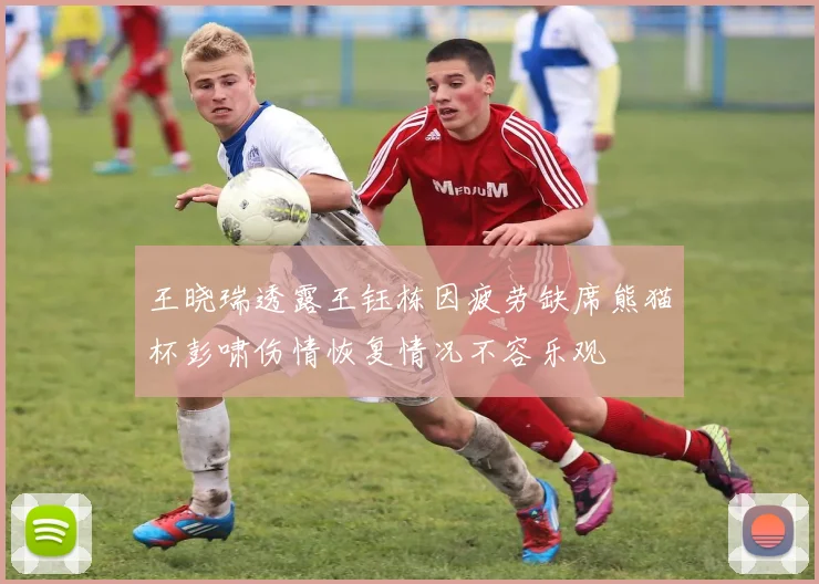 王晓瑞透露王钰栋因疲劳缺席熊猫杯彭啸伤情恢复情况不容乐观