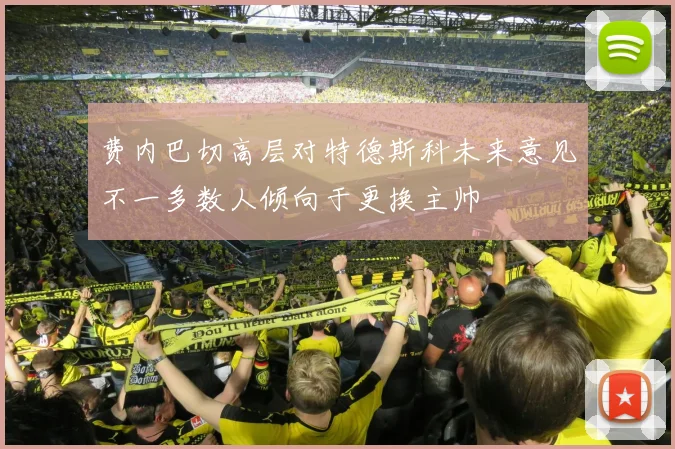 费内巴切高层对特德斯科未来意见不一多数人倾向于更换主帅