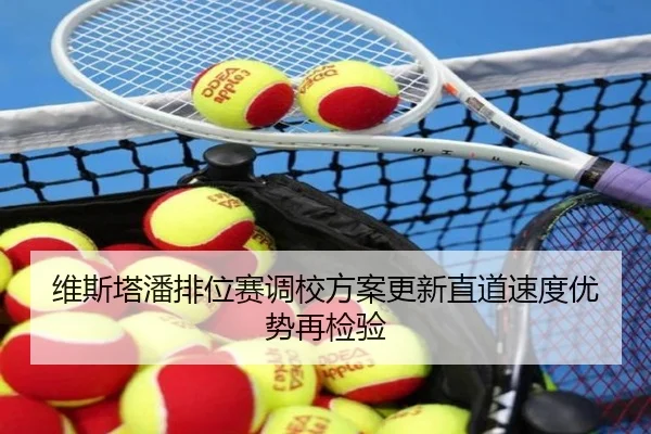 维斯塔潘排位赛调校方案更新直道速度优势再检验